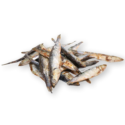 Wild Whole Anchovies - 1.5 Oz