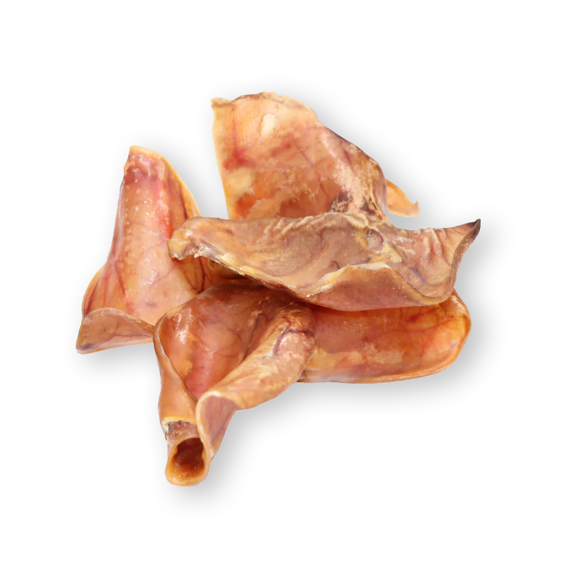 Pig Ear