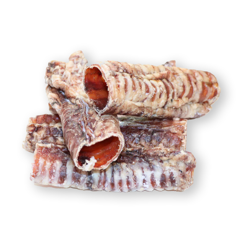 Beef Trachea